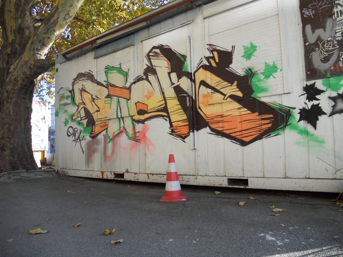 Graffiti Bombing - Photo by Ghostwritter
