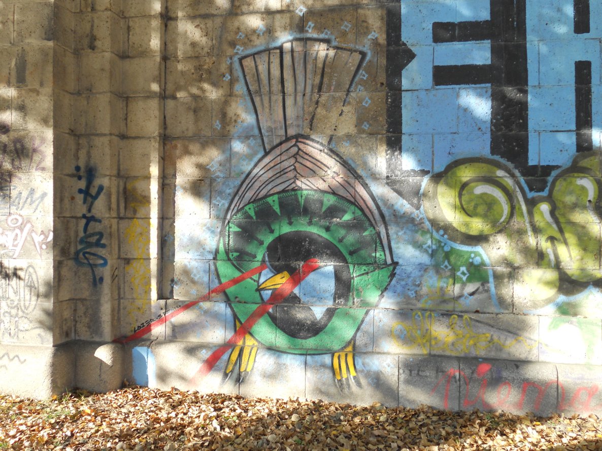 Graffiti Wall - Photo by Ghostwritter