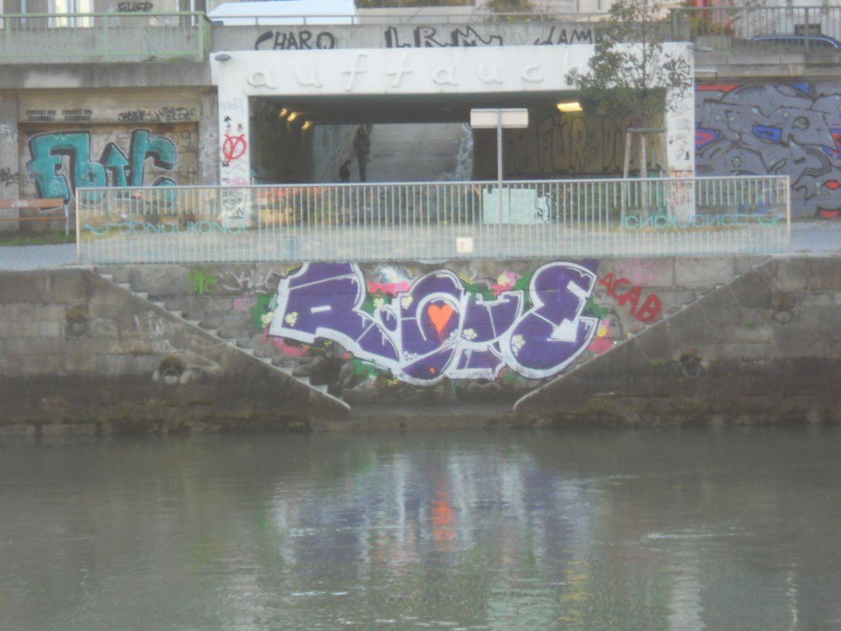Graffiti Bombing - Photo by Ghostwritter