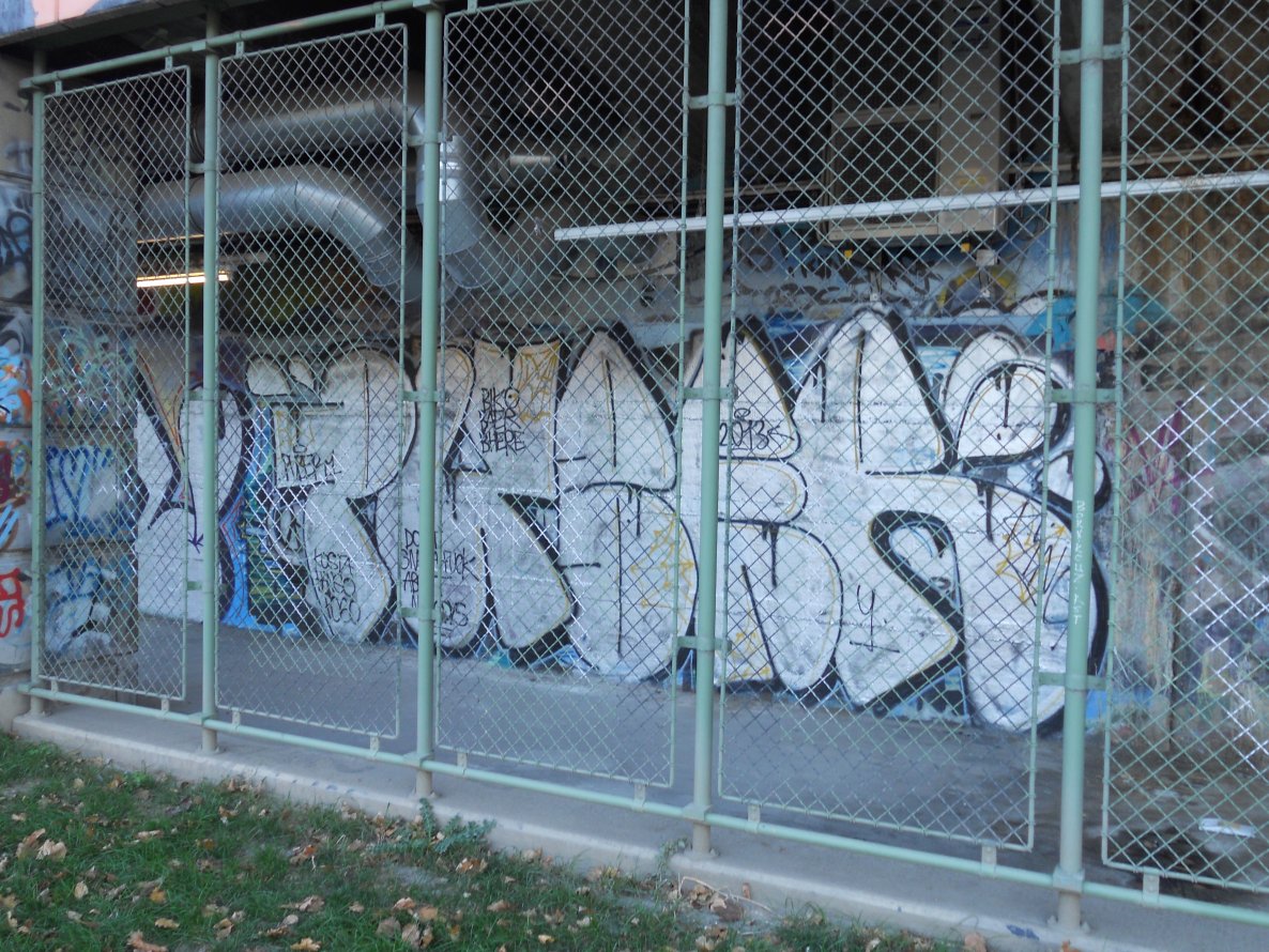 Graffiti Bombing - Photo by Ghostwritter