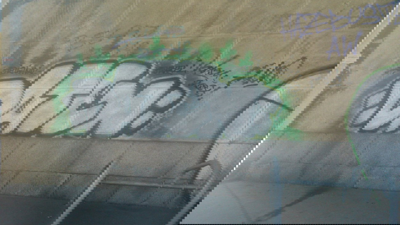 Graffiti Bombing - Photo by Ghostwritter