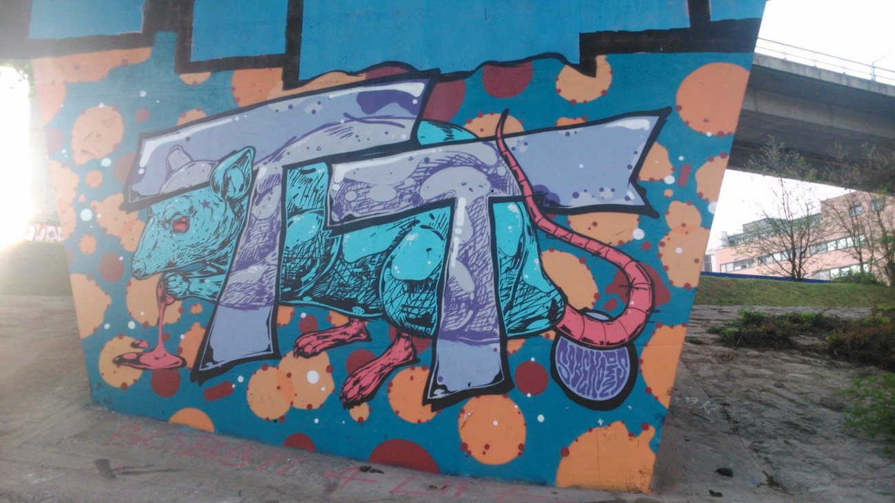 Graffiti Wall - Photo by Ghostwritter