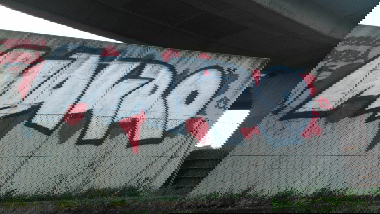 Graffiti Bombing - Photo by Ghostwritter