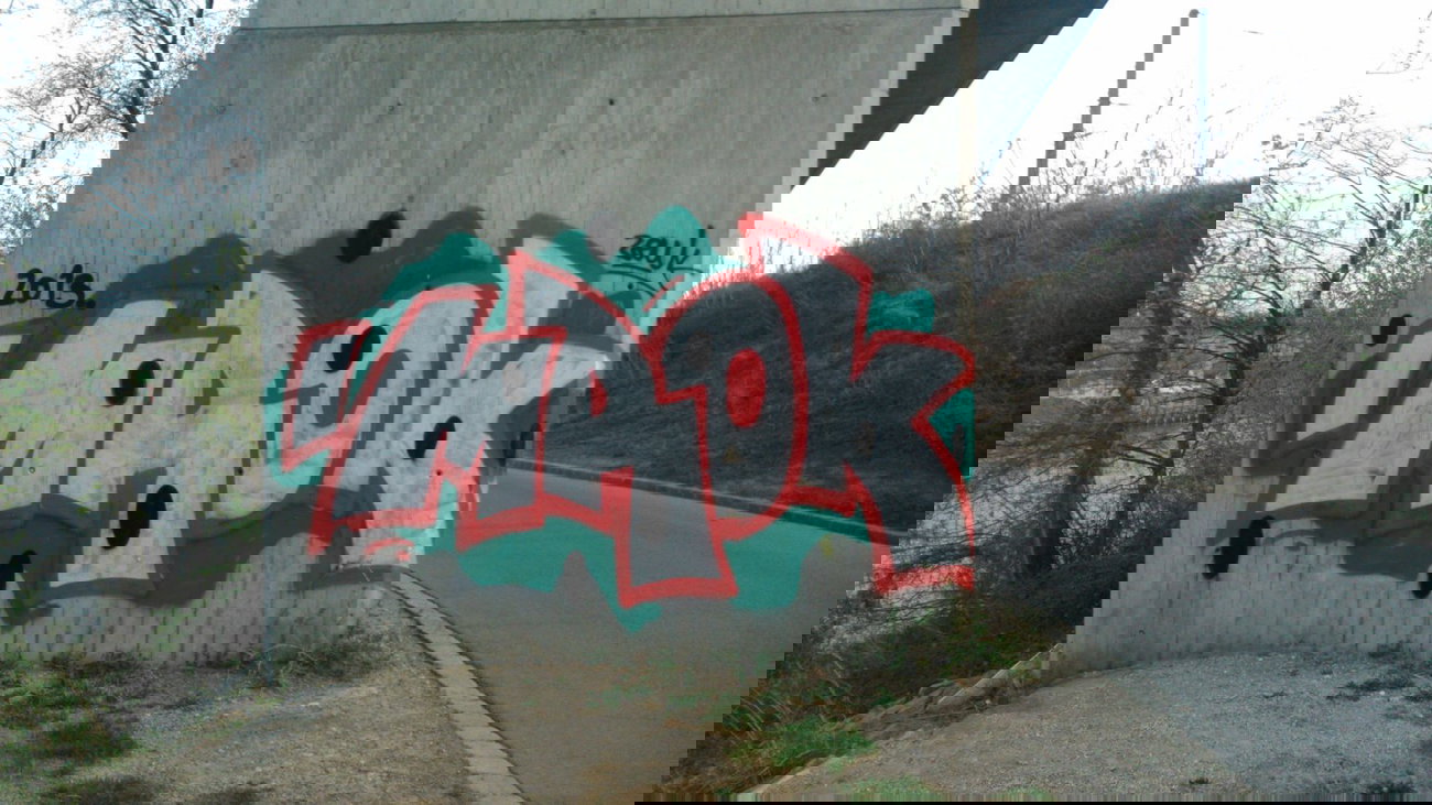 Graffiti Bombing - Photo by Ghostwritter