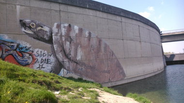 Graffiti Wall - Photo by Ghostwritter