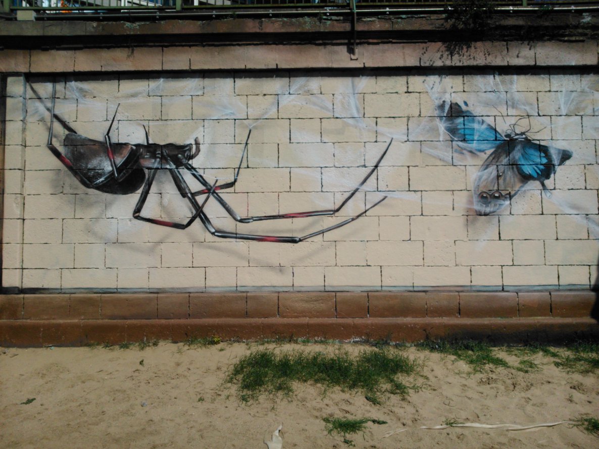 Graffiti Wall - Photo by Ghostwritter