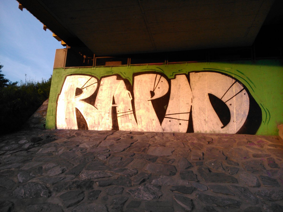 Graffiti Bombing - Photo by Ghostwritter