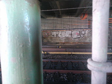 Graffiti Bombing - Photo by Ghostwritter