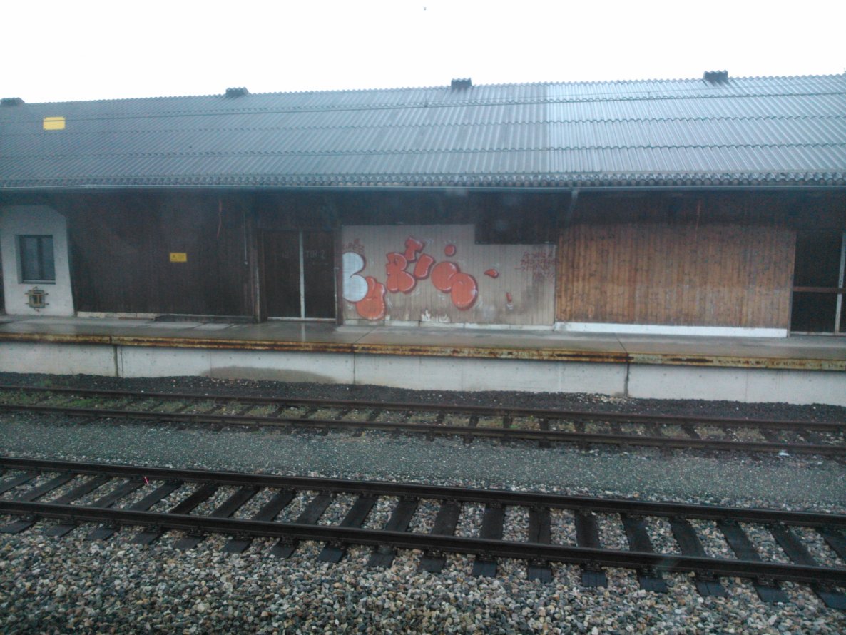 Graffiti Bombing - Photo by Ghostwritter
