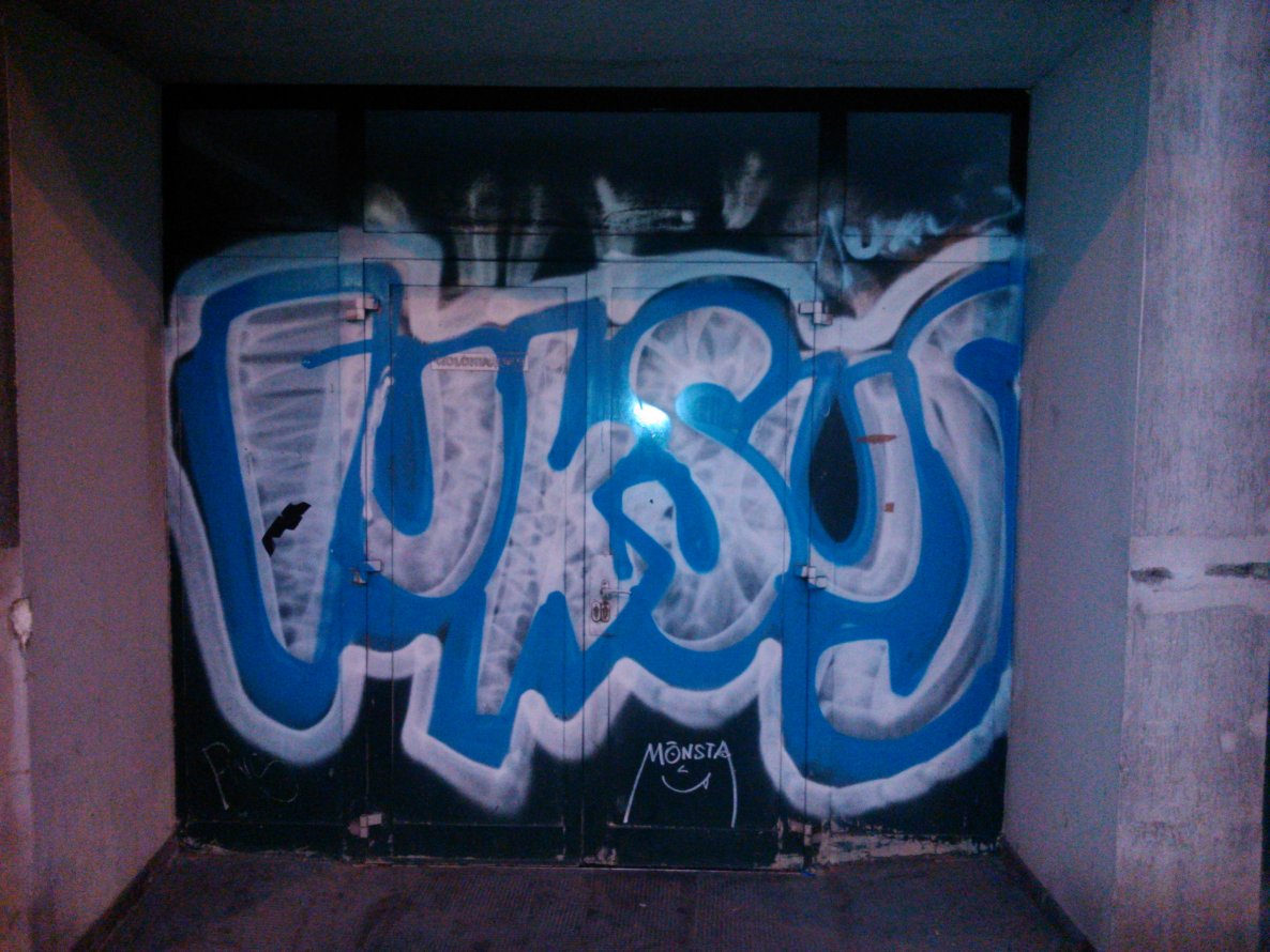 Graffiti Bombing - Photo by Ghostwritter