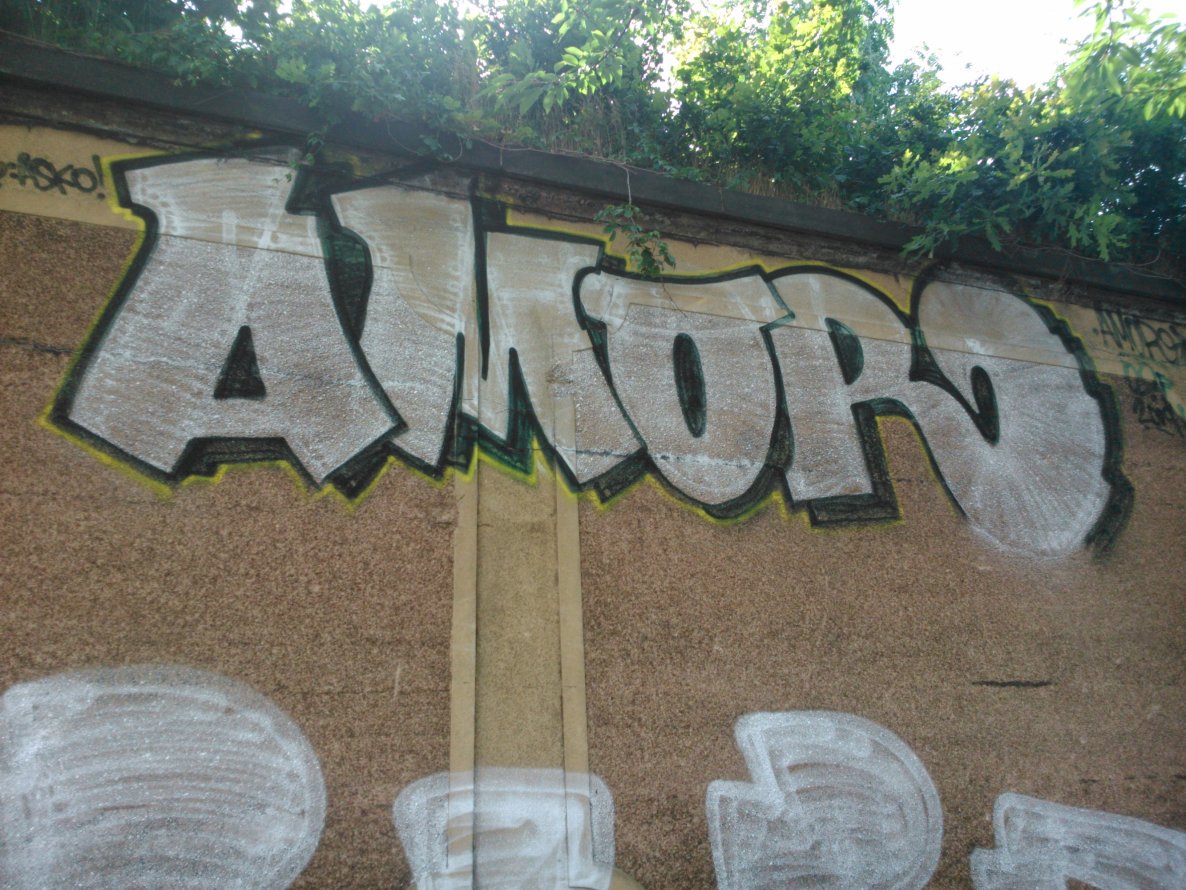 Graffiti Bombing - Photo by Ghostwritter