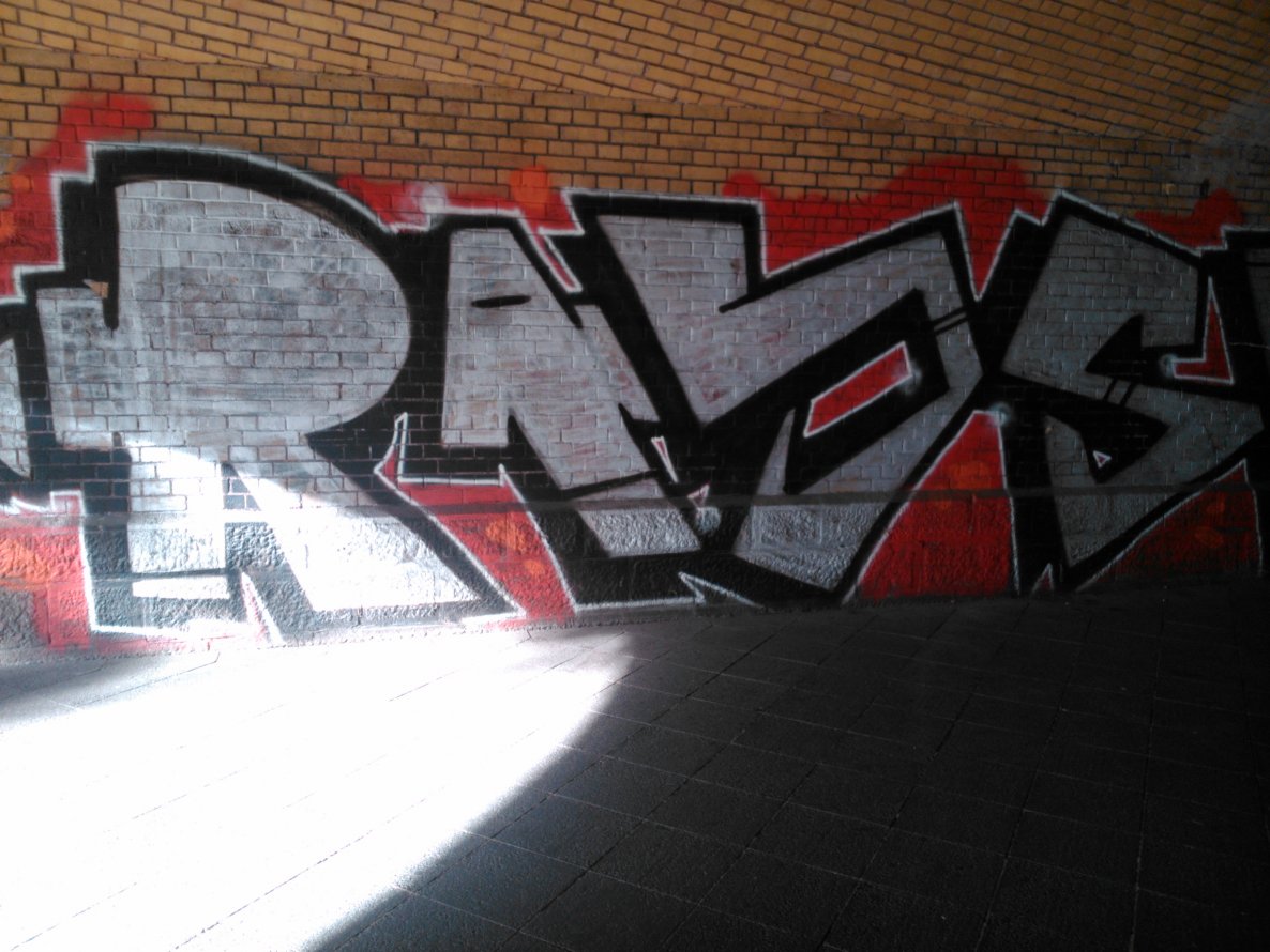 Graffiti Bombing - Photo by Ghostwritter