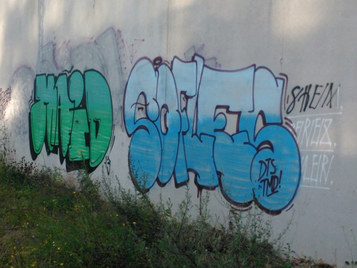 Graffiti Bombing - Photo by Ghostwritter