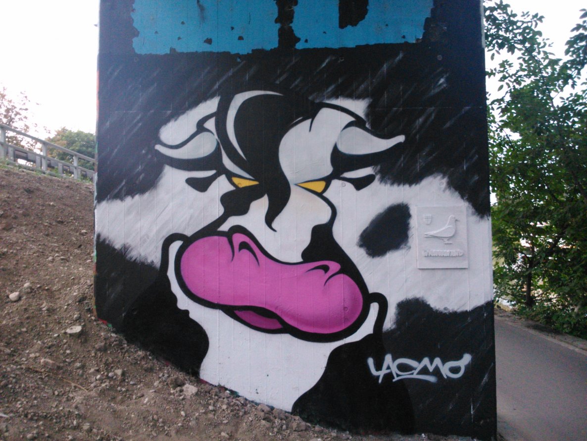 Graffiti Wall - Photo by Ghostwritter