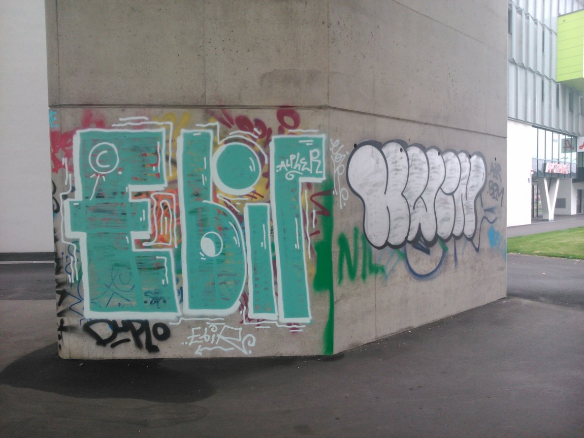 Graffiti Bombing - Photo by Ghostwritter