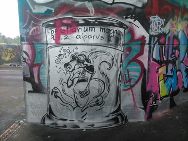 Graffiti Wall - Photo by Ghostwritter