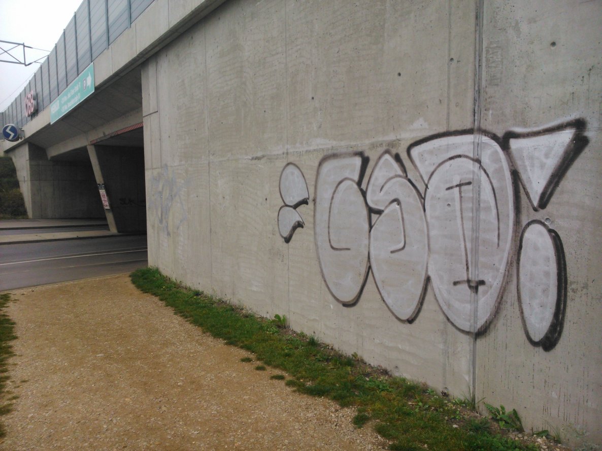 Graffiti Bombing - Photo by Ghostwritter