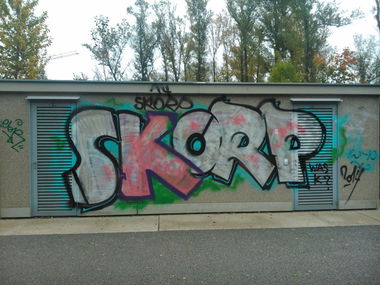 Graffiti Bombing - Photo by Ghostwritter