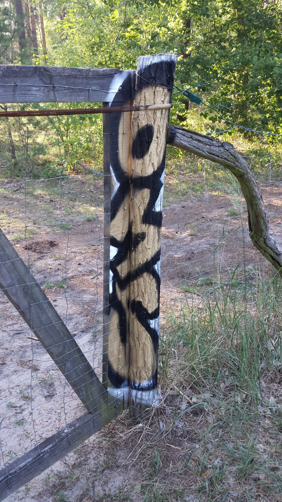 Graffiti Bombing in Drehort - Photo by GiseOms - oms, omscrew, oms42 (2018)