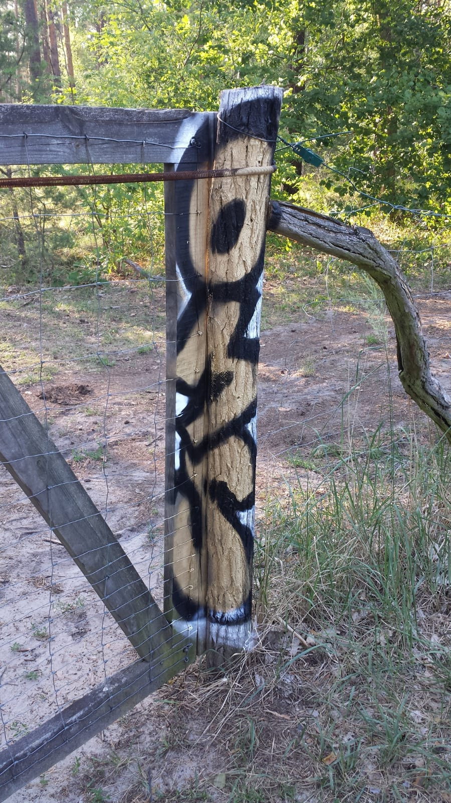 Graffiti Bombing in Drehort - Photo by GiseOms - oms, omscrew, oms42 (2018)
