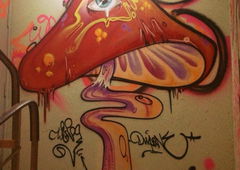 Photo #89544 by DUFF