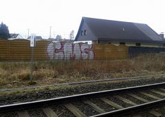 Photo #12972 by ZEOT