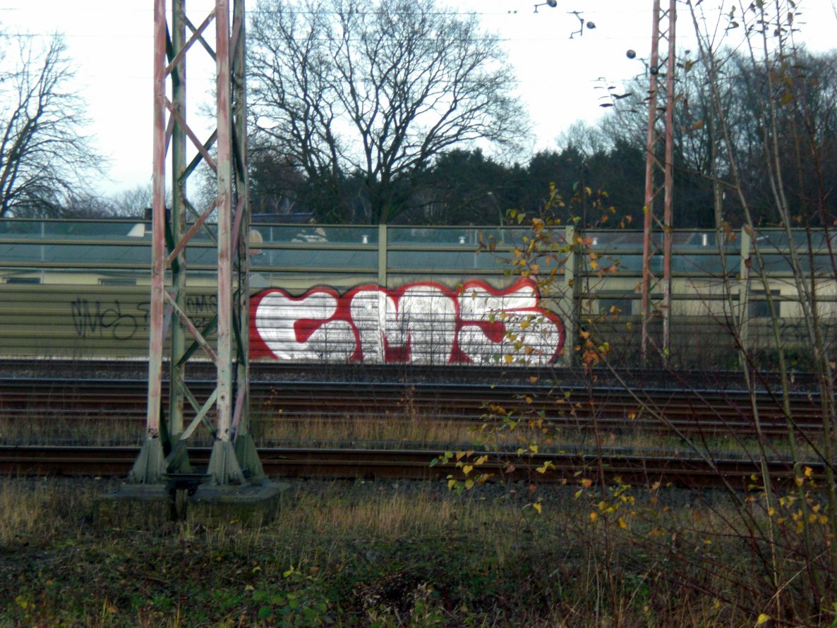 Graffiti Bombing in Waverly - Photo by Goal1312 - cms (2013)