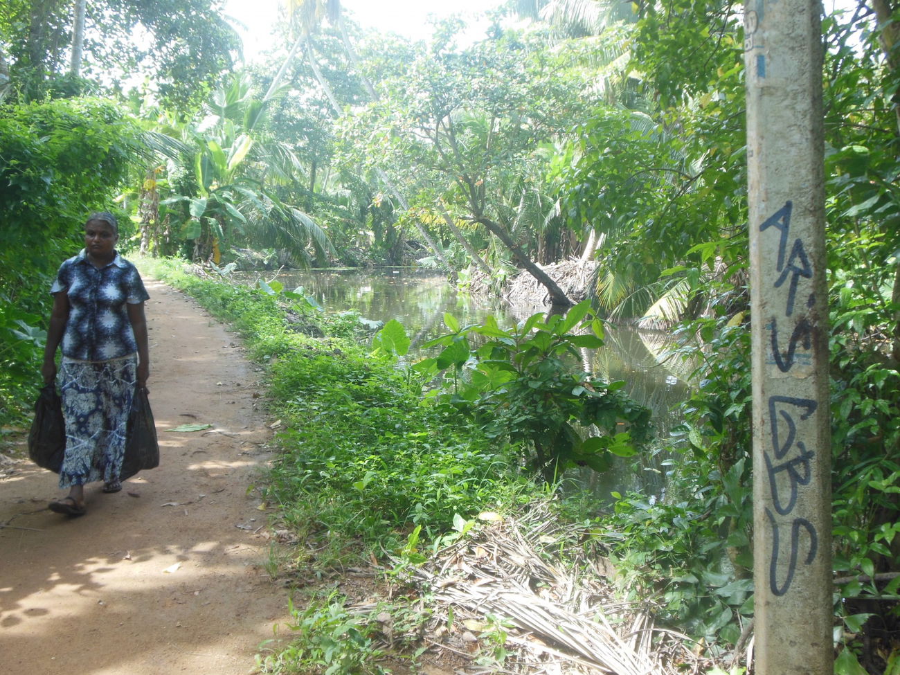Graffiti Wall in Sri lanka - Photo by GoldenBrownS - GBS, AR, AR´S (2012)
