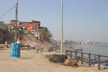 Graffiti Wall in Indien - Photo by GoldenBrownS - AR, AR´S, GBS (2014)