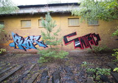 Photo #223075 by streuner