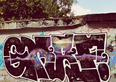 Photo #14006 by streuner