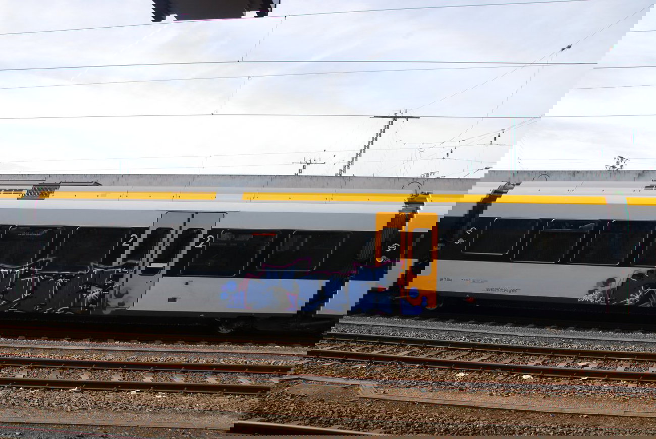 Graffiti Train - Photo by GraffFreak (2013)