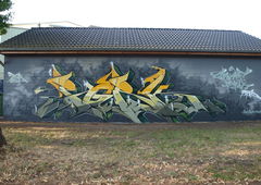 Graffiti Wall - Photo by GraffFunk - PORK, TDR, Graff.Funk (2013)