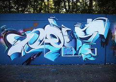 Graffiti Wall - Photo by GraffFunk - graff.funk, Pout, Deadly (2013)