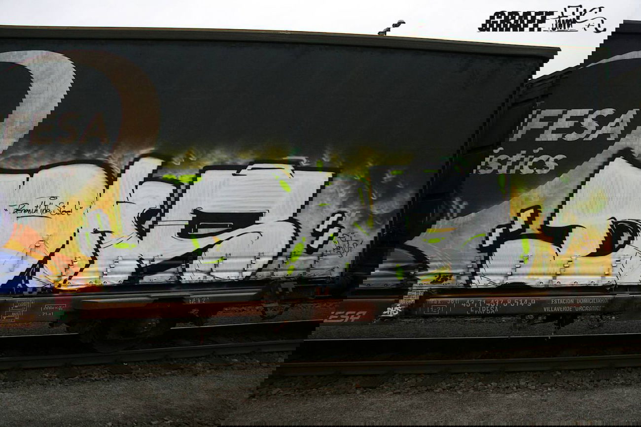 Graffiti Train - Photo by GraffFunk - dhs