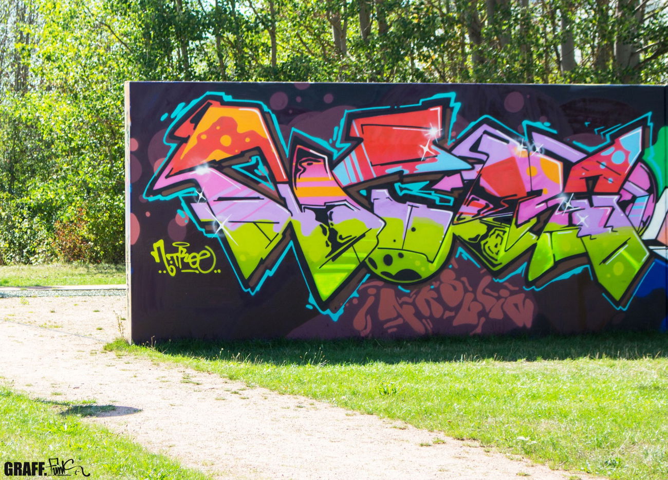 Graffiti Wall - Photo by GraffFunk - nitro, inksulin, pysk