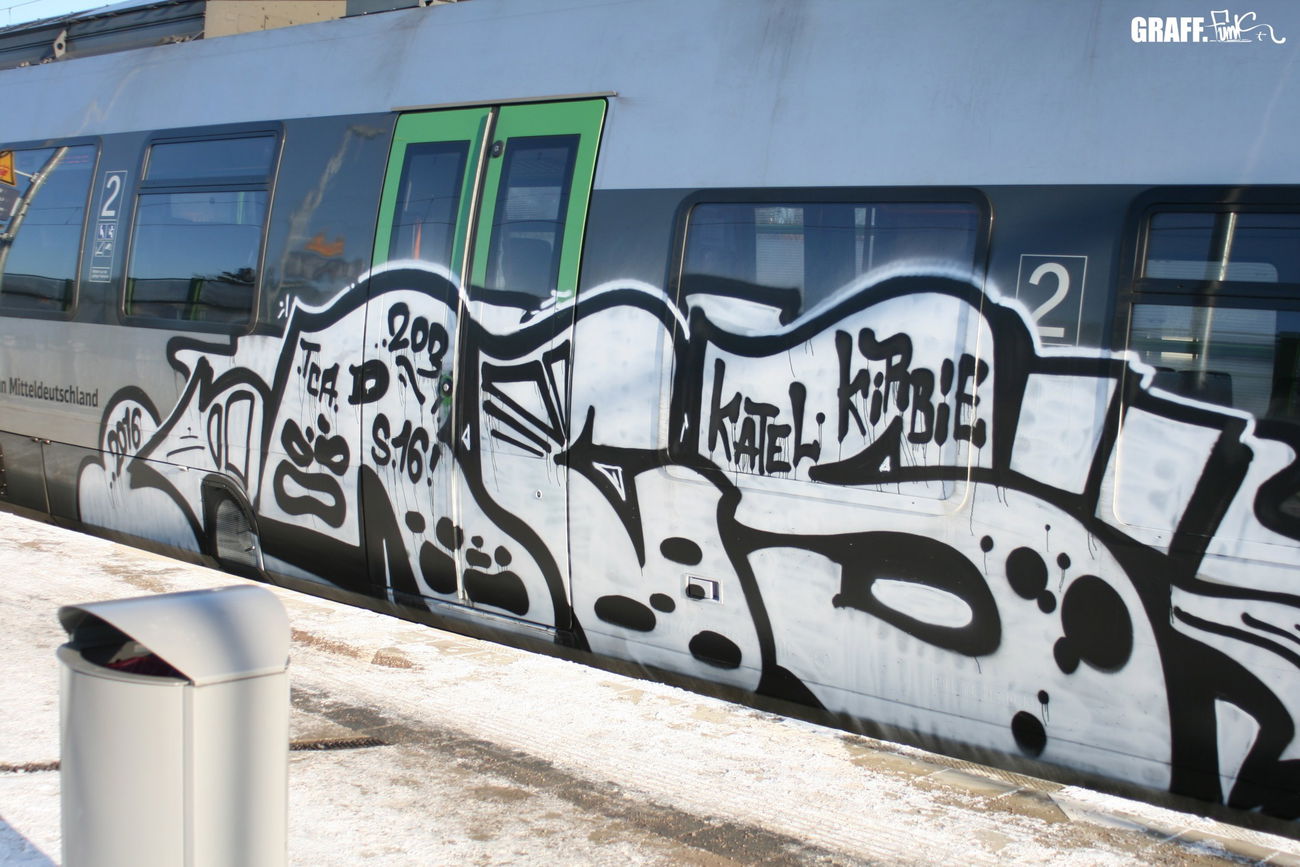 Graffiti Train - Photo by GraffFunk - radicals, grafffunk, graffiti