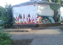 Photo #159424 by 505er