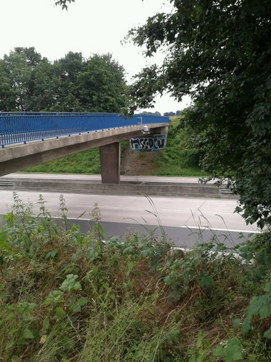Graffiti Bombing - Photo by GraffSoest