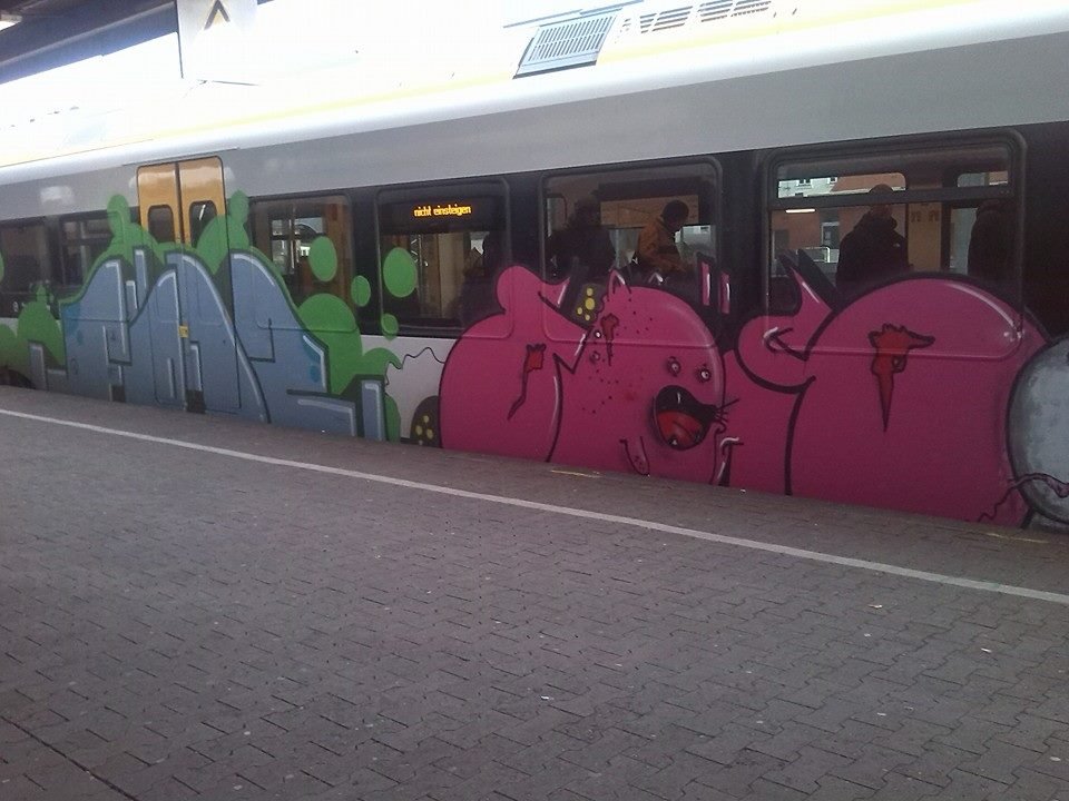 Graffiti Train - Photo by GraffSoest