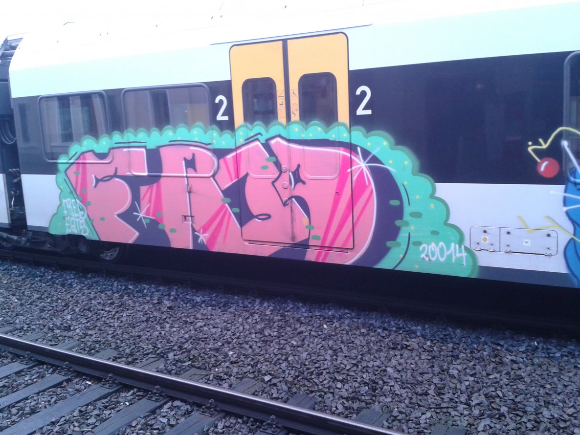 Graffiti Train - Photo by GraffSoest