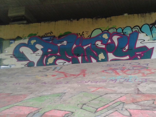 Graffiti Bombing - Photo by GraffSoest