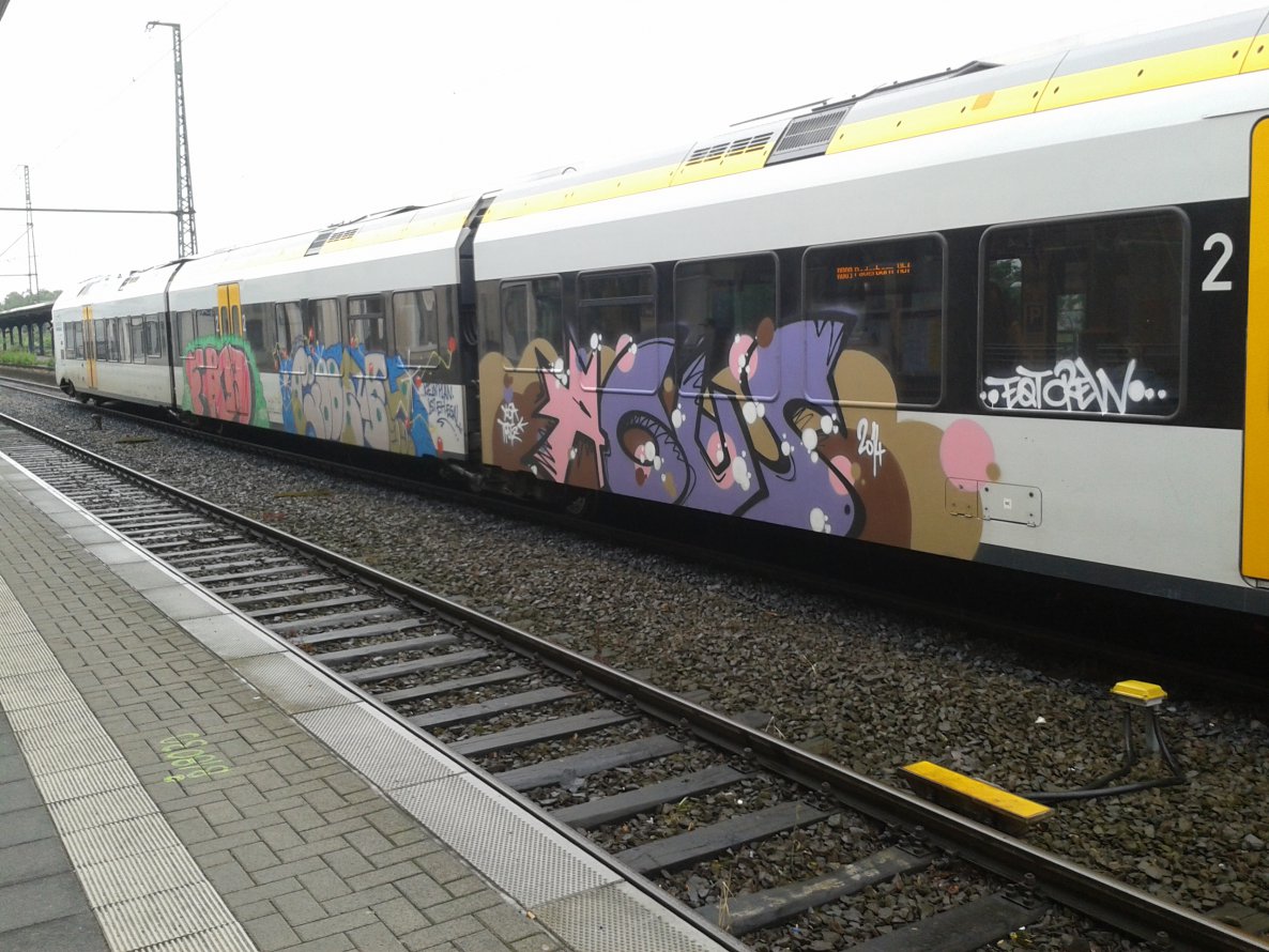 Graffiti Train - Photo by GraffSoest