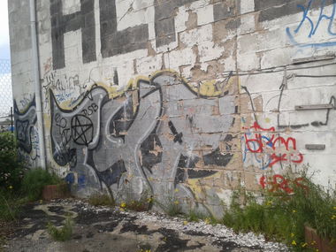 Graffiti Bombing - Photo by GraffSoest