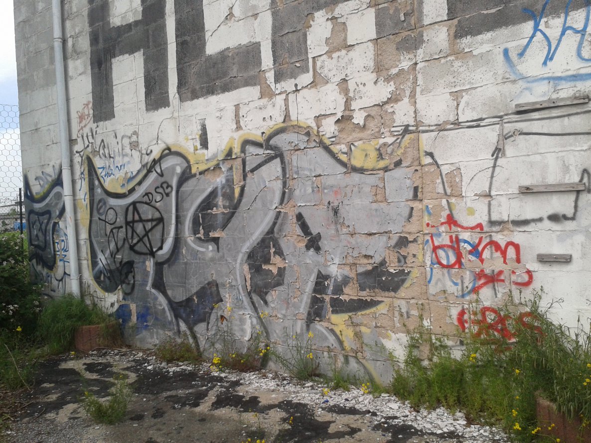 Graffiti Bombing - Photo by GraffSoest