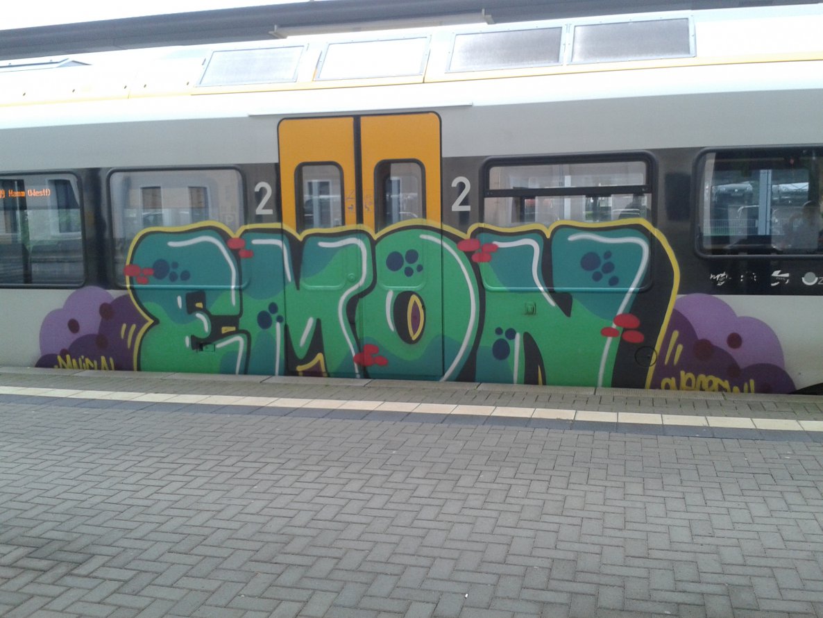 Graffiti Train - Photo by GraffSoest
