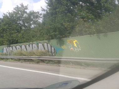 Graffiti Bombing - Photo by GraffSoest - Aycaramba