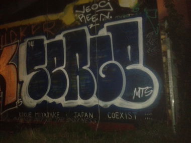 Graffiti Bombing - Photo by GraffSoest