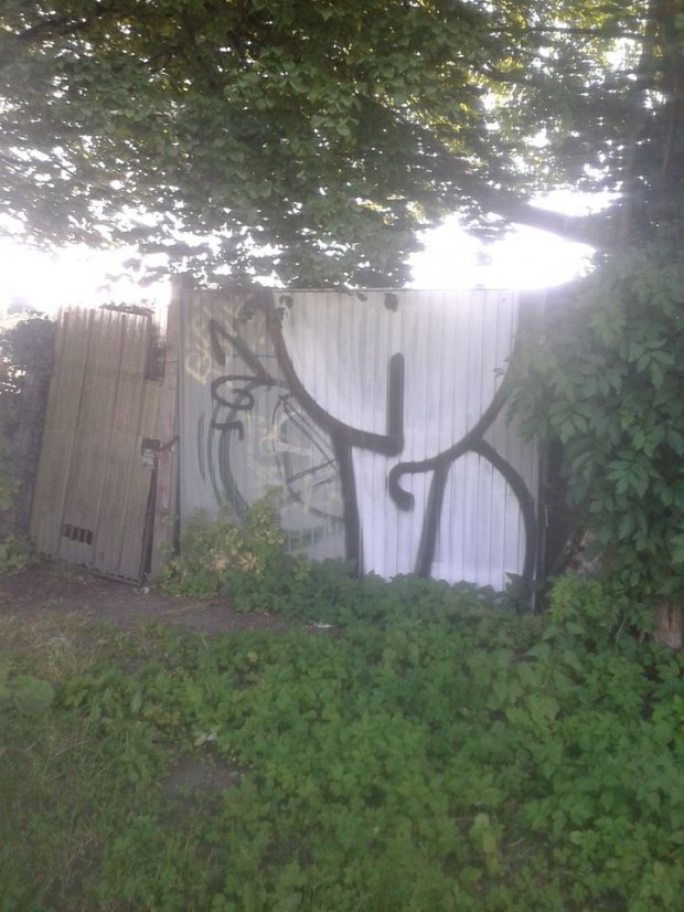 Graffiti Bombing - Photo by GraffSoest - why