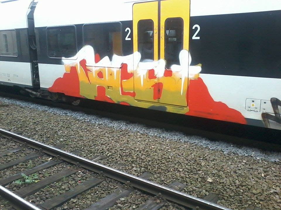 Graffiti Train - Photo by GraffSoest - Tagsi (2014)